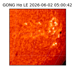 gong - 2026-06-02T05:00:42