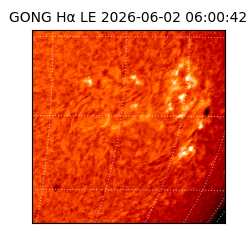 gong - 2026-06-02T06:00:42