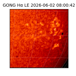 gong - 2026-06-02T08:00:42