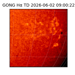 gong - 2026-06-02T09:00:22