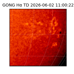 gong - 2026-06-02T11:00:22