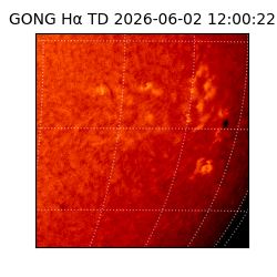 gong - 2026-06-02T12:00:22