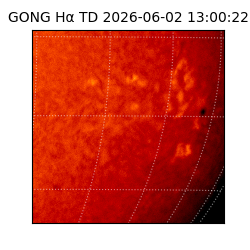 gong - 2026-06-02T13:00:22
