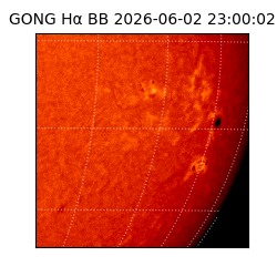 gong - 2026-06-02T23:00:02
