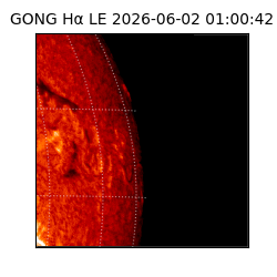 gong - 2026-06-02T01:00:42