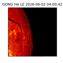 gong - 2026-06-02T04:00:42
