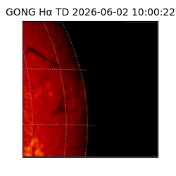 gong - 2026-06-02T10:00:22