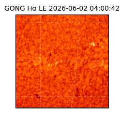 gong - 2026-06-02T04:00:42