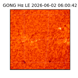 gong - 2026-06-02T06:00:42