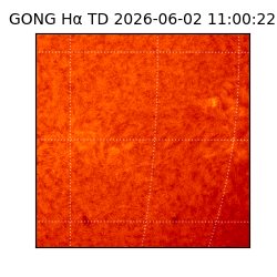 gong - 2026-06-02T11:00:22