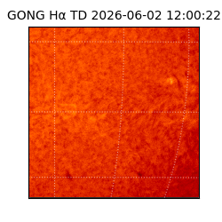 gong - 2026-06-02T12:00:22