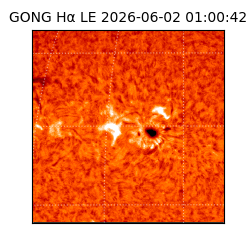 gong - 2026-06-02T01:00:42