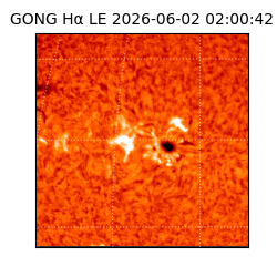gong - 2026-06-02T02:00:42