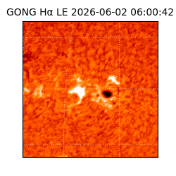 gong - 2026-06-02T06:00:42
