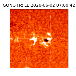 gong - 2026-06-02T07:00:42