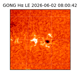 gong - 2026-06-02T08:00:42