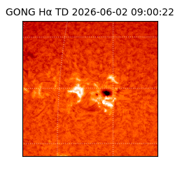 gong - 2026-06-02T09:00:22