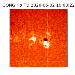 gong - 2026-06-02T10:00:22