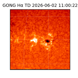 gong - 2026-06-02T11:00:22