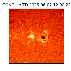 gong - 2026-06-02T12:00:22