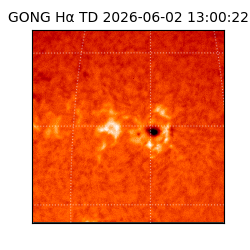 gong - 2026-06-02T13:00:22