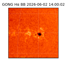 gong - 2026-06-02T14:00:02