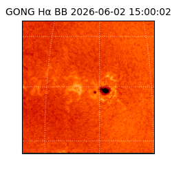gong - 2026-06-02T15:00:02