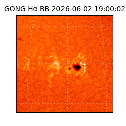 gong - 2026-06-02T19:00:02
