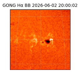 gong - 2026-06-02T20:00:02