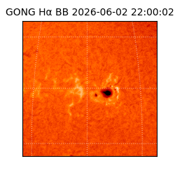 gong - 2026-06-02T22:00:02