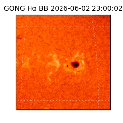gong - 2026-06-02T23:00:02