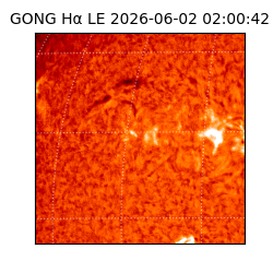 gong - 2026-06-02T02:00:42