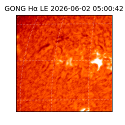 gong - 2026-06-02T05:00:42