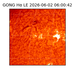 gong - 2026-06-02T06:00:42
