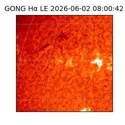 gong - 2026-06-02T08:00:42