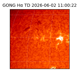 gong - 2026-06-02T11:00:22