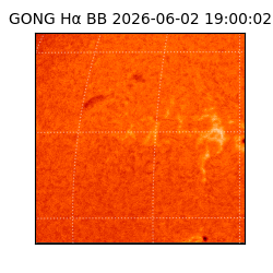 gong - 2026-06-02T19:00:02