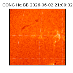 gong - 2026-06-02T21:00:02