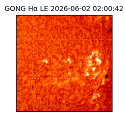 gong - 2026-06-02T02:00:42