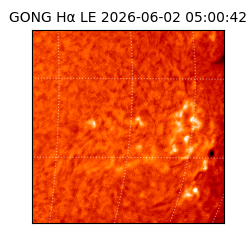 gong - 2026-06-02T05:00:42