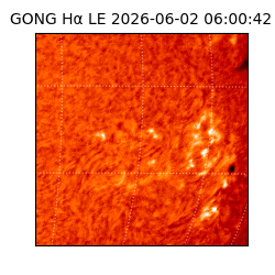 gong - 2026-06-02T06:00:42