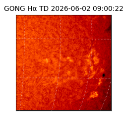 gong - 2026-06-02T09:00:22