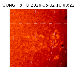 gong - 2026-06-02T10:00:22