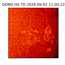 gong - 2026-06-02T11:00:22