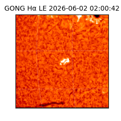 gong - 2026-06-02T02:00:42