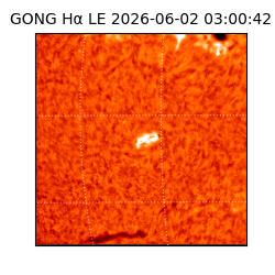 gong - 2026-06-02T03:00:42