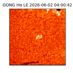 gong - 2026-06-02T04:00:42