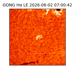 gong - 2026-06-02T07:00:42