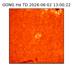 gong - 2026-06-02T13:00:22