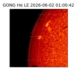 gong - 2026-06-02T01:00:42